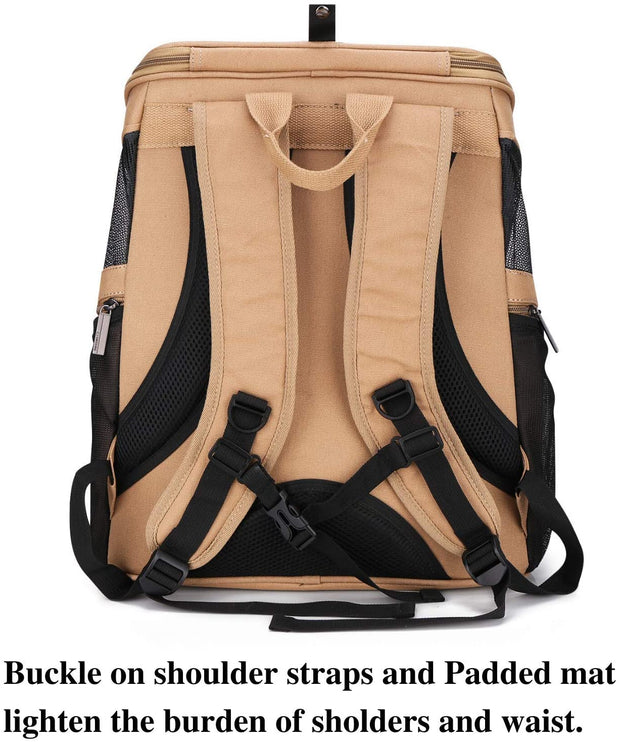 The Big Meow Backpack