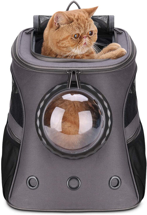 The Big Meow Backpack