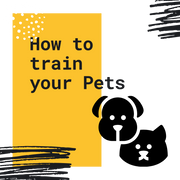 How To Train Your Pets
