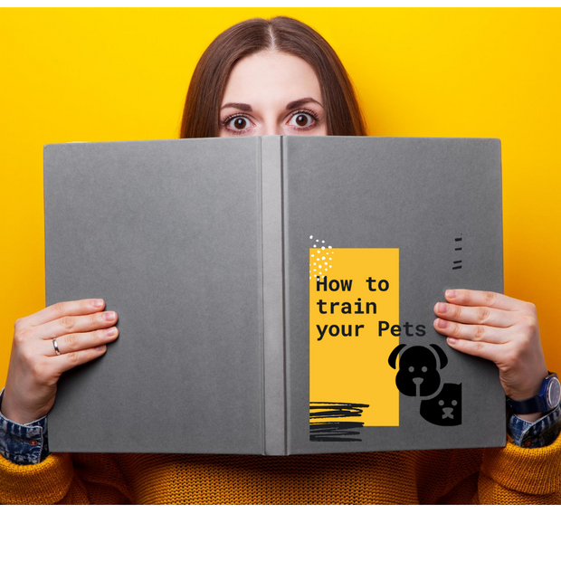 How To Train Your Pets