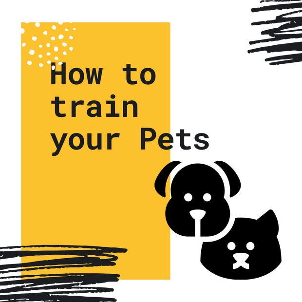 How To Train Your Pets